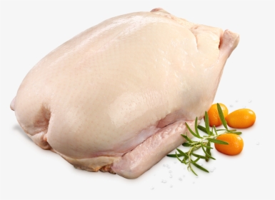 Fresh Duck Meat, HD Png Download, Free Download