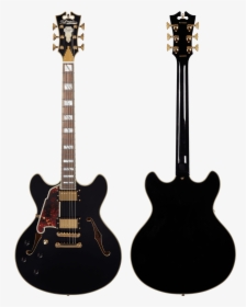 D Angelico Guitars Left Handed, HD Png Download, Free Download