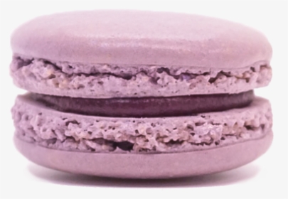 Blackcurrant - Macaroon, HD Png Download, Free Download