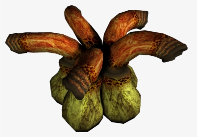 Hyrule Conquest - Gourd, HD Png Download, Free Download