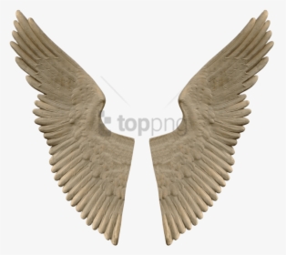 Angel - String Art Birthday Gift, HD Png Download, Free Download