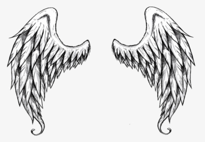 Sayap Png -sayap Keren Png - Angel Wings Black And White Drawing, Transparent Png, Free Download