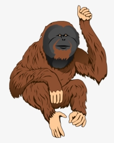 Orangutan Clipart, HD Png Download, Free Download
