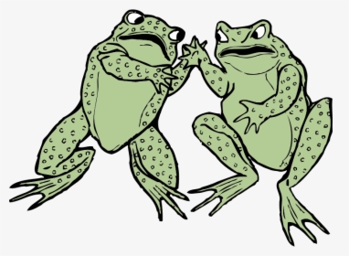 Two Frogs - Two Frog Clipart, HD Png Download, Free Download