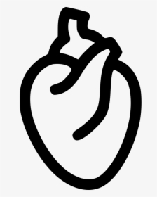 Heart Organ - Heart Organ Symbol Png, Transparent Png, Free Download