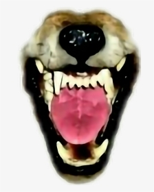 Transparent Wolf Teeth Clipart - Werewolf Transparent Fangs Png, Png Download, Free Download
