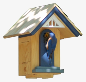 #birdhouse #baby #birds #mama #feeding #dailysticker - House, HD Png Download, Free Download