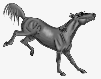 Bucking Horse Lineart Transparent, HD Png Download, Free Download
