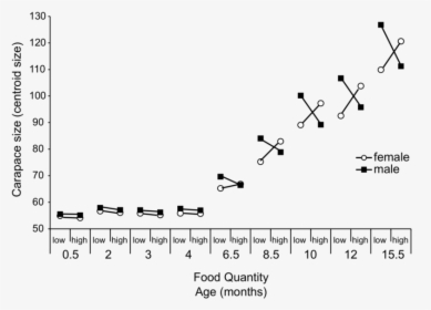 Diagram, HD Png Download, Free Download