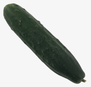 Pickled Cucumber - Cucumber, HD Png Download, Free Download