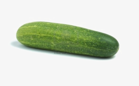 Single Cucumber Png Photo - Khera Meaning In English, Transparent Png, Free Download