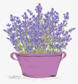 Lavender Flowers Vintage, HD Png Download, Free Download
