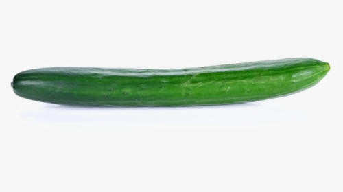 Single Cucumber Png Image With Transparent Background - Cucumber With No Background, Png Download, Free Download