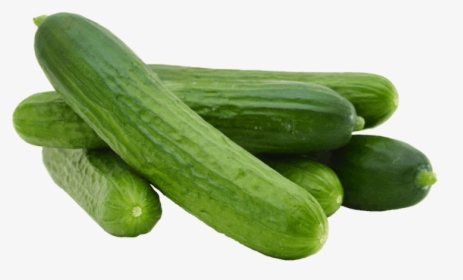 High Quality Cucumber, HD Png Download, Free Download