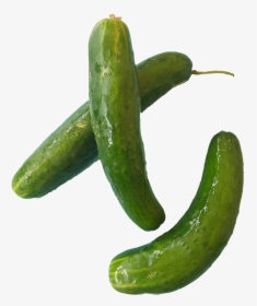 1531938448641 - Cucumber, HD Png Download, Free Download