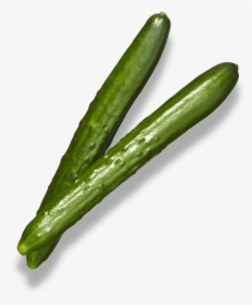 Cucumber, HD Png Download, Free Download