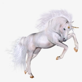 Beautifu Unicorn D Clipart - White Unicorn Transparent Background, HD Png Download, Free Download