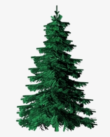 Evergreen Tree Images - Evergreen Tree Clipart, HD Png Download, Free Download
