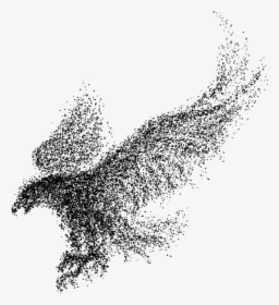 #mq #black #birds #bird #flying #raven - Eagle Black And White Art, HD Png Download, Free Download