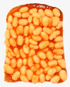 Baked Beans Free Clipart, HD Png Download, Free Download