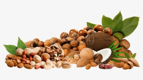 Tree Nuts Png, Transparent Png, Free Download