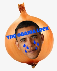 Pumpkin, HD Png Download, Free Download