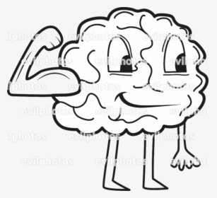 Brain Drawing Vector And Stock Photo - Brain Drawing, HD Png Download, Free Download