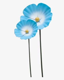 St Barnabas Forget Me Not, HD Png Download, Free Download