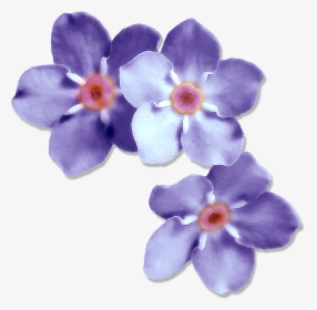 Transparent Forget Me Not Png - Artificial Flower, Png Download, Free Download