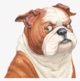31 - Old English Bulldog Cartoon, HD Png Download, Free Download