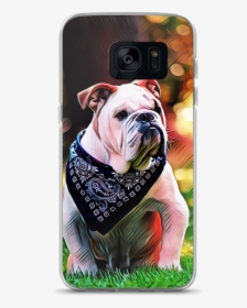 English Bulldog Phone Case - Olde English Bulldogge, HD Png Download, Free Download