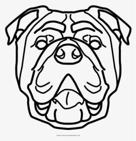 English Bulldog Coloring Page - English Bulldog Icon Png, Transparent Png, Free Download