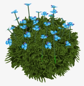 Gentiana, HD Png Download, Free Download