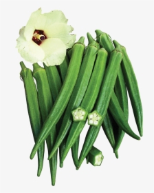 Okra Variety In Many Major Markets - Okra, HD Png Download, Free Download