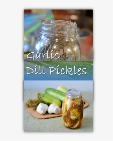 Garlic Dill Pickles Canning - Felipe Barriga Planet Tv, HD Png Download, Free Download