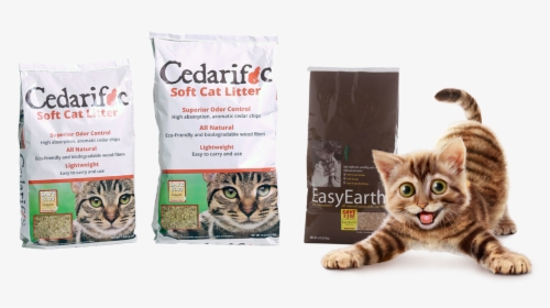 Cedric The Family Cat"s Favorite Cat Litter - Using Cedar Chips As Cat Litter, HD Png Download, Free Download