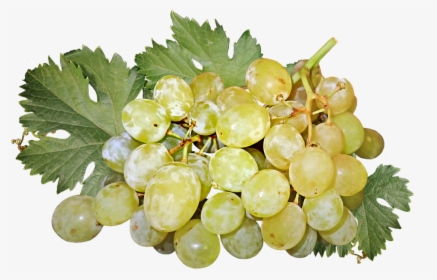 Grapes, Fruit, Bunch, Healthy, Food, Harvest, Vines - Pixabay Grapes Cut Outs, HD Png Download, Free Download