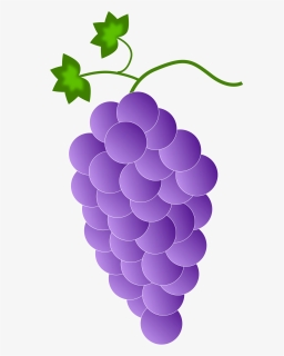 Grape Seed Extract,plant,grape - Purple Grapes, HD Png Download, Free Download