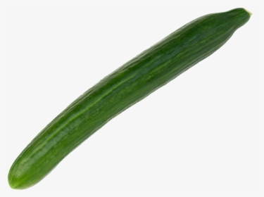Edible Cucumber Transparent Vegetables - Cucumber, HD Png Download, Free Download