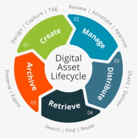 Digital Asset Lifecycle - Label, HD Png Download, Free Download
