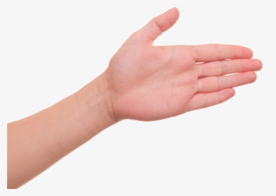 Palm Of Hand Png, Transparent Png, Free Download