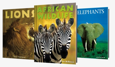 Transparent Safari Animals Png - Zebra, Png Download, Free Download