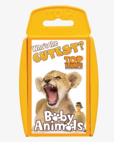 Top Trumps Baby Animals - Cat Yawns, HD Png Download, Free Download