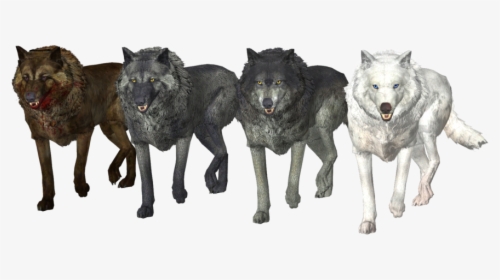 Wolf Pack Free Png Image - Transparent Background Wolf Pack Png, Png Download, Free Download