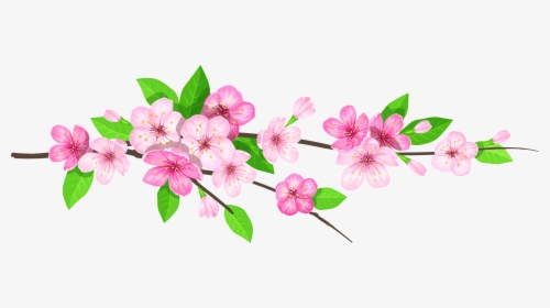 Spring Png - Flower Branch In Png, Transparent Png, Free Download