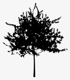 Bush Silhouette Png - Flower Tree Transparent Background, Png Download, Free Download