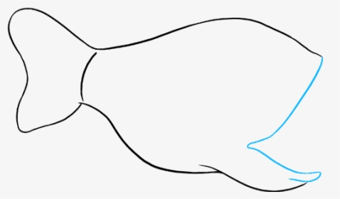 How To Draw Angler Fish - Flatfish, HD Png Download, Free Download