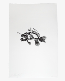 Lionfish, HD Png Download, Free Download