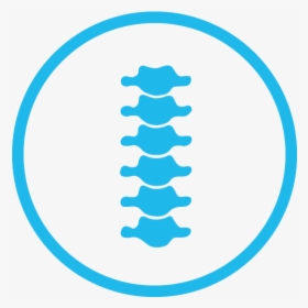 Icon-spine - Spine Icon, HD Png Download, Free Download