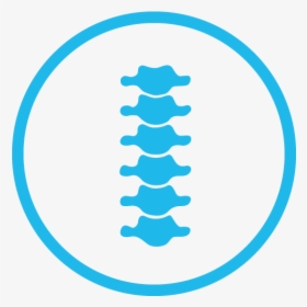 Icon-spine - Spine Icon, HD Png Download, Free Download